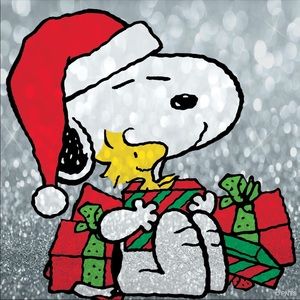 Meet your Posher, Shelby